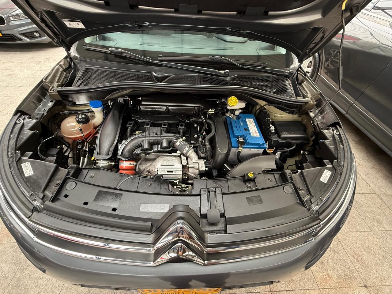 CITROEN C4 CACTUS SHINE